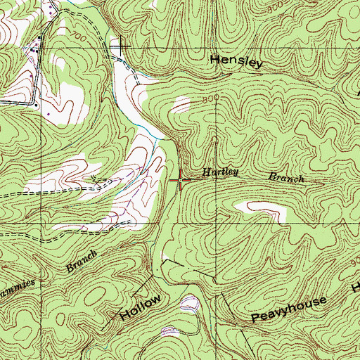 Topographic Map of Line Hollow, TN