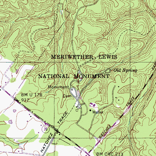 Topographic Map of Lyon Prospect, TN