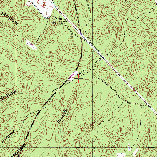 Topographic Map of Natchez Trace Prospect, TN