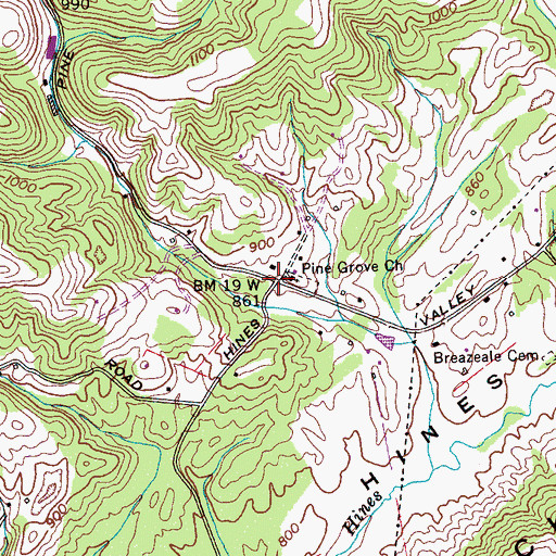 Topographic Map of Pine Grove, TN