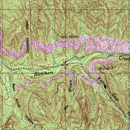 Topographic Map of Bee Branch Hollow, TN