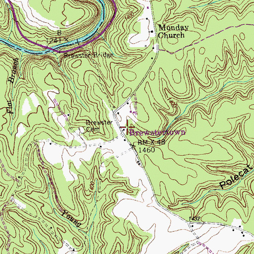 Topographic Map of Brewstertown, TN