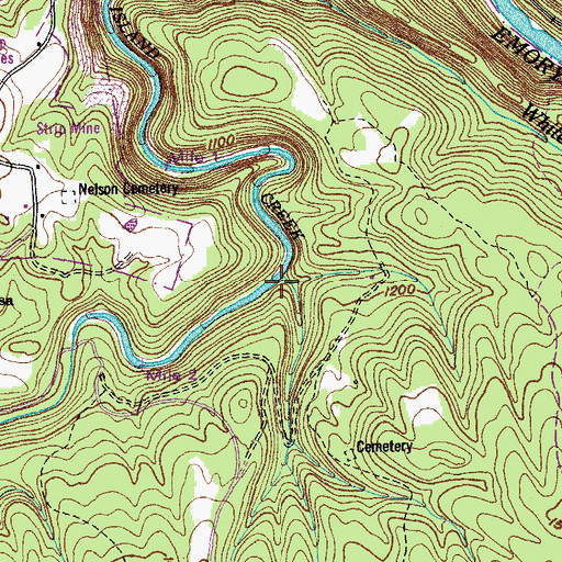 Topographic Map of Chestnut Branch, TN