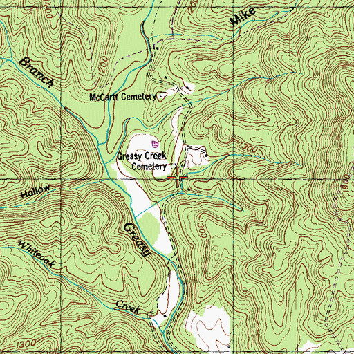 Topographic Map of Emory (historical), TN