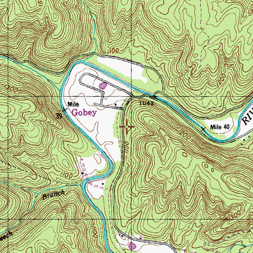Topographic Map of Emory River Church (historical), TN