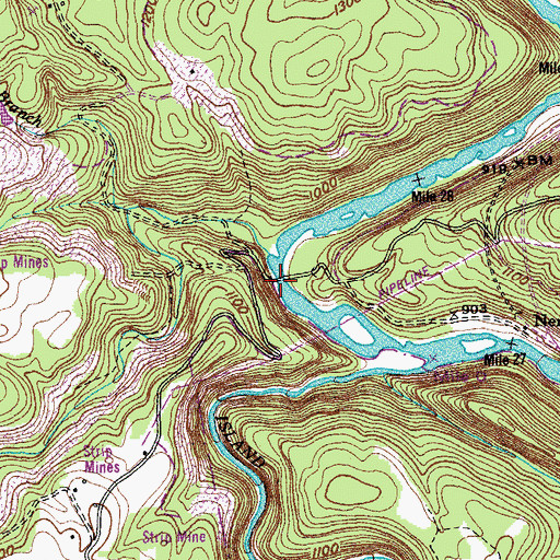 Topographic Map of Nemo Bridge, TN