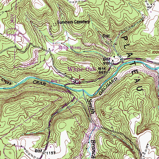 Topographic Map of White Oak, TN
