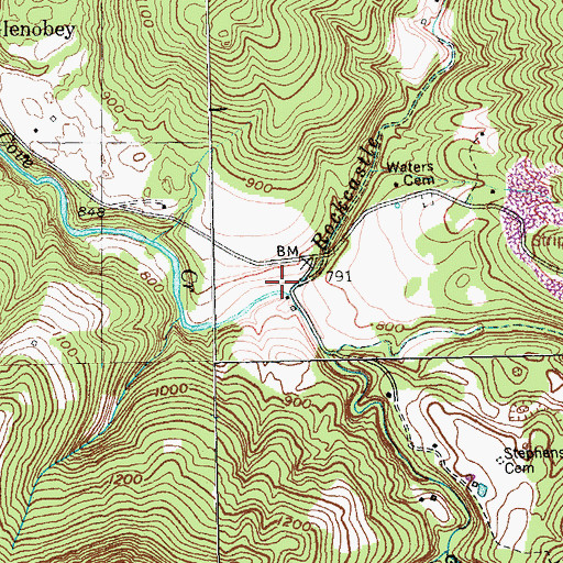 Topographic Map of Buffalo Branch, TN