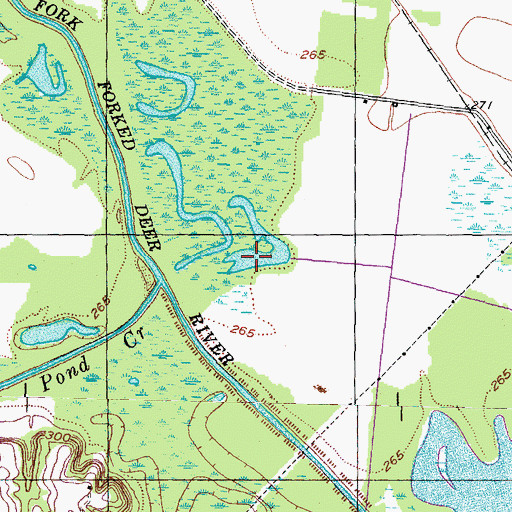 Topographic Map of Bishops Lake, TN