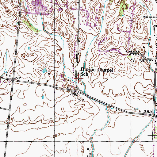 Topographic Map of Burgess Chapel Church, TN