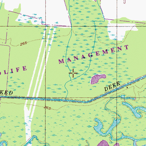 Topographic Map of Tigrett Wildlife Management Area, TN