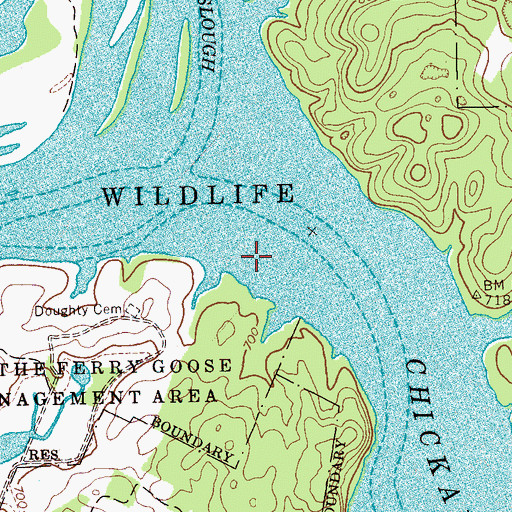 Topographic Map of Cayuga Town (historical), TN