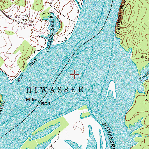 Topographic Map of Ziegler Island (historical), TN