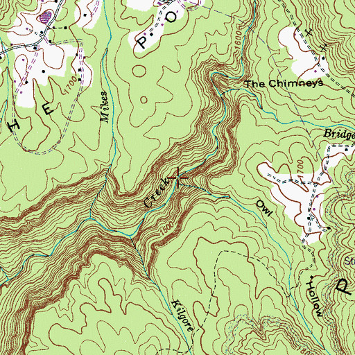 Topographic Map of Short Branch, TN