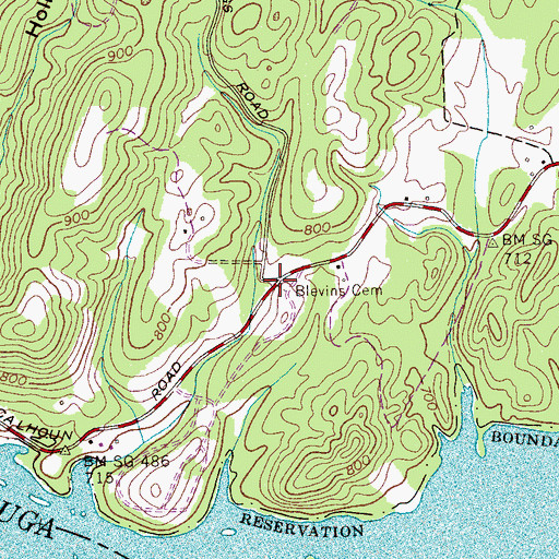 Topographic Map of Blevins Chapel (historical), TN