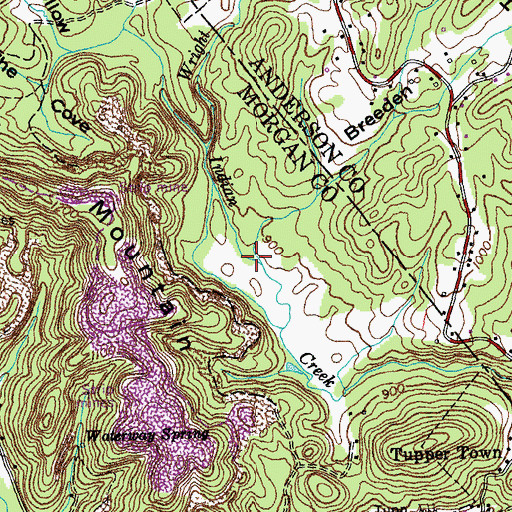 Topographic Map of Little Rocky Branch, TN