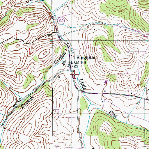 Topographic Map of Singleton Methodist Church, TN