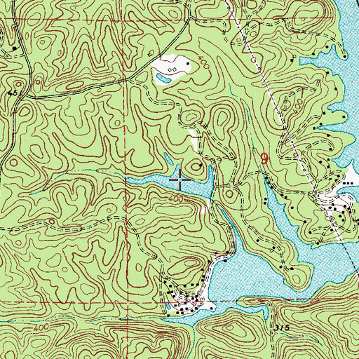 Topographic Map of Livingston Lake, AL