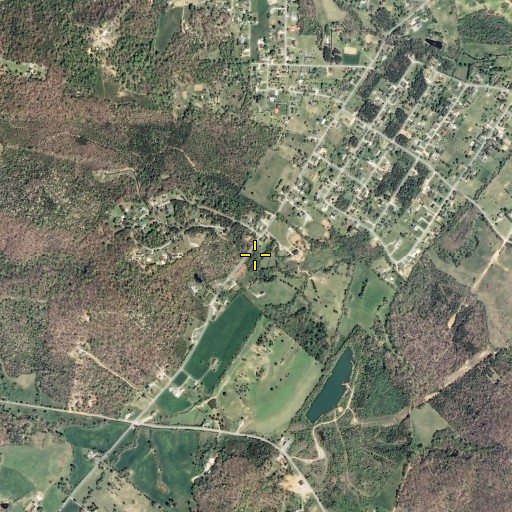 Aerial/Satellite Image of Cave Spring, TN