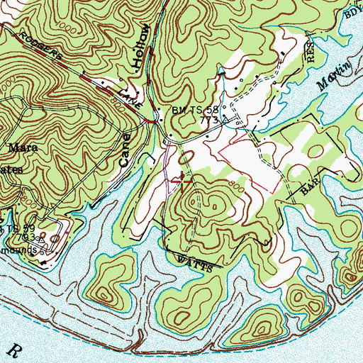 Topographic Map of Cove Point, TN