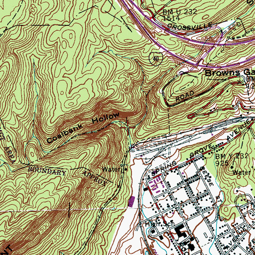 Topographic Map of Hollow Branch, TN