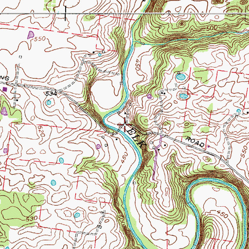 Topographic Map of Forest Mills (historical), TN