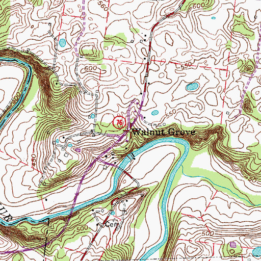 Topographic Map of Walnut Grove, TN