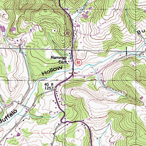 Topographic Map of Hammer Store, TN