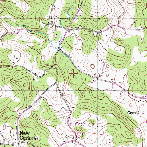Topographic Map of Paskell Pond (historical), TN