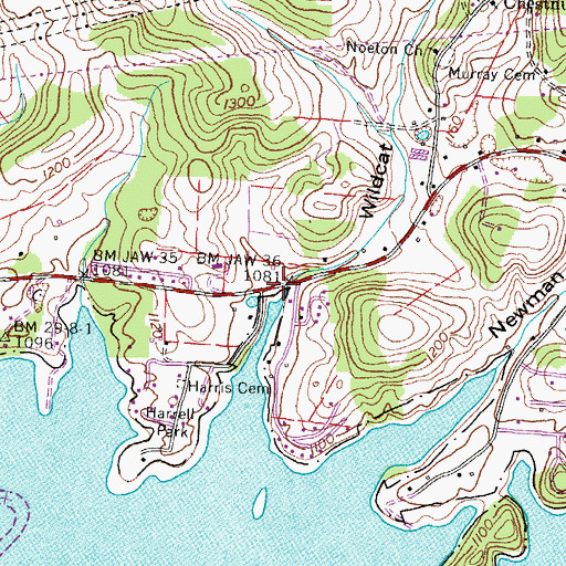 Topographic Map of Wildcat Branch, TN