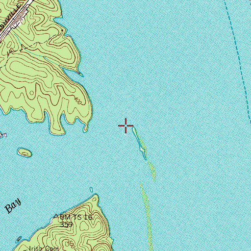 Topographic Map of Blue Pond (historical), TN