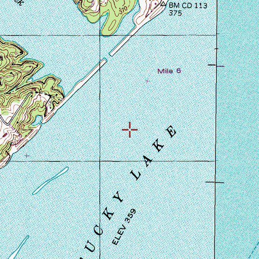 Topographic Map of Burrell Branch, TN