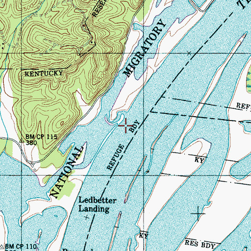 Topographic Map of Dog Creek, TN