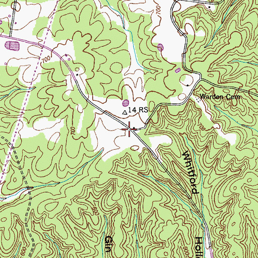 Topographic Map of Belleview, TN