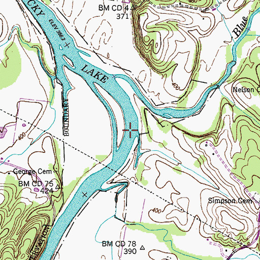 Topographic Map of Johnson Shoals, TN