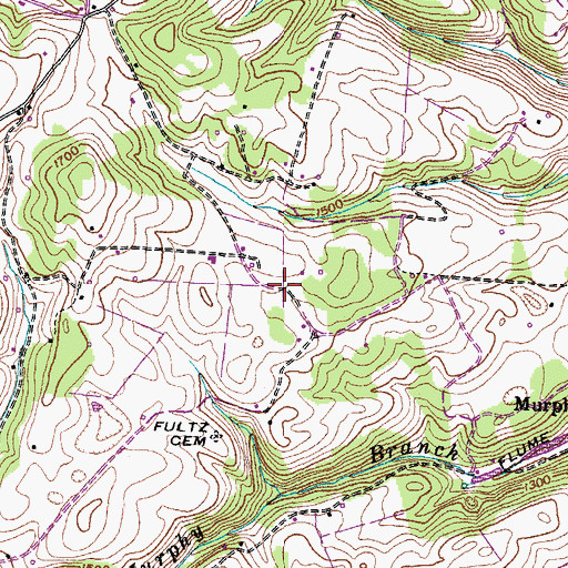 Topographic Map of Bald Hill (historical), TN