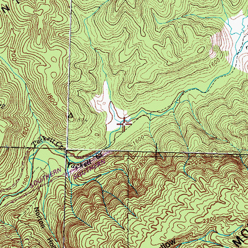 Topographic Map of Bowman Hollow, TN