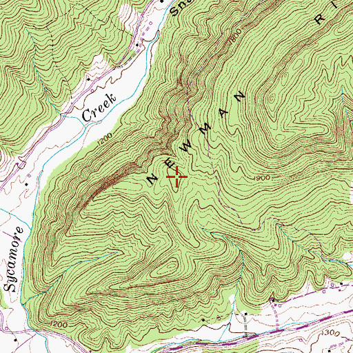 Topographic Map of Butt of Newmans Ridge, TN