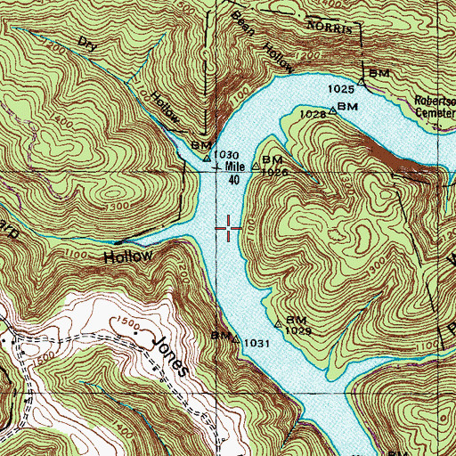 Topographic Map of Capps Crossing (historical), TN