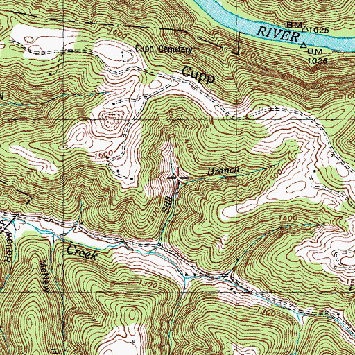 Topographic Map of Cat Branch, TN