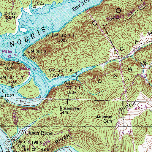 Topographic Map of Stony Branch, TN