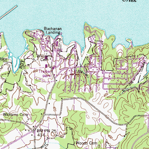 Topographic Map of Buchanan Subdivision, TN