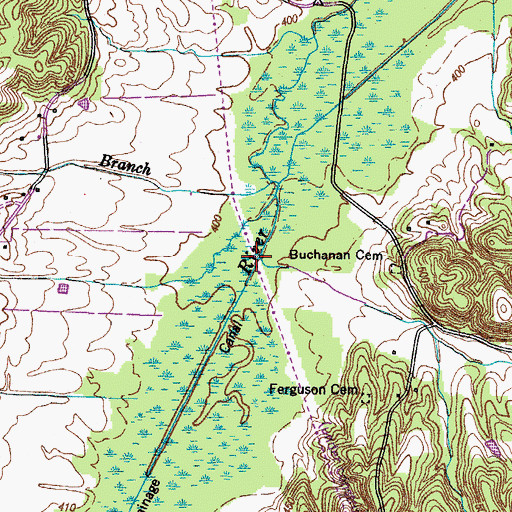 Topographic Map of Ferguson Branch, TN