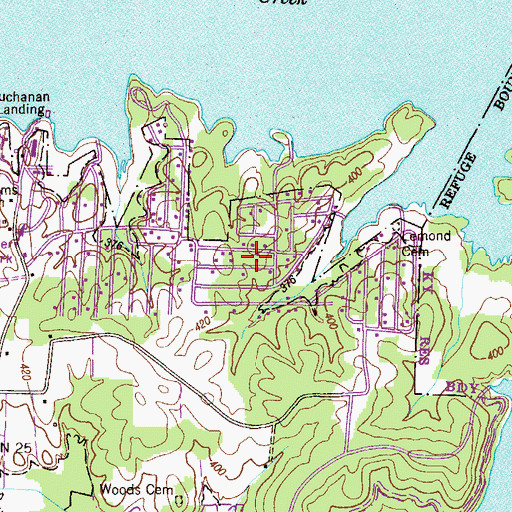 Topographic Map of Pine Point Subdivision, TN