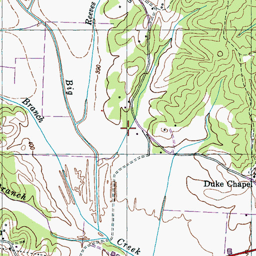 Topographic Map of Flowers Hollow, TN