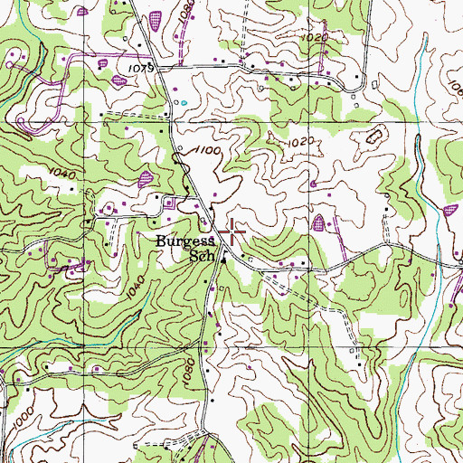 Topographic Map of Burgess, TN