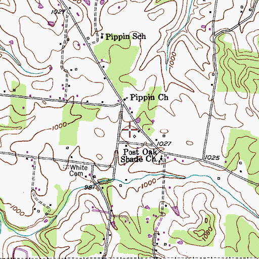 Topographic Map of Pippen Springs Estates, TN