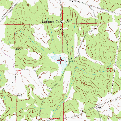 Topographic Map of Robinson Lake, AL