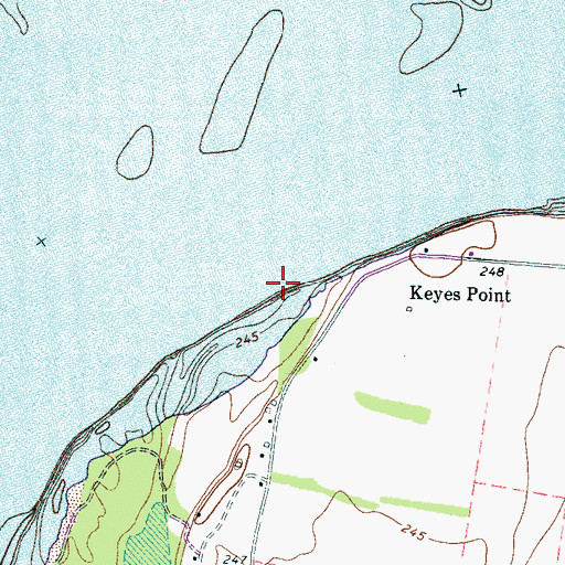 Topographic Map of Keyes Point, TN