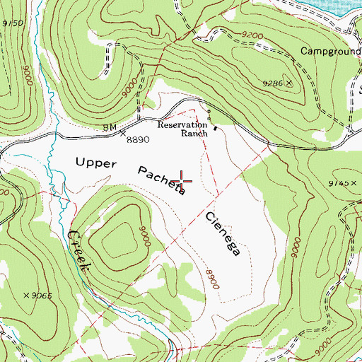 Topographic Map of Upper Pacheta Cienega, AZ